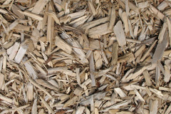biomass boilers Cummertrees